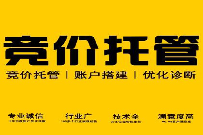 实战案例：如何利用百度推广拓展市场份额